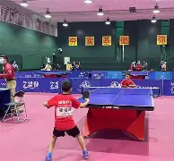 川蜀雄鲨队失利剑门山猫队，乒乓球淘汰赛上演关键失误成转折！教练团队居功至伟的简单介绍